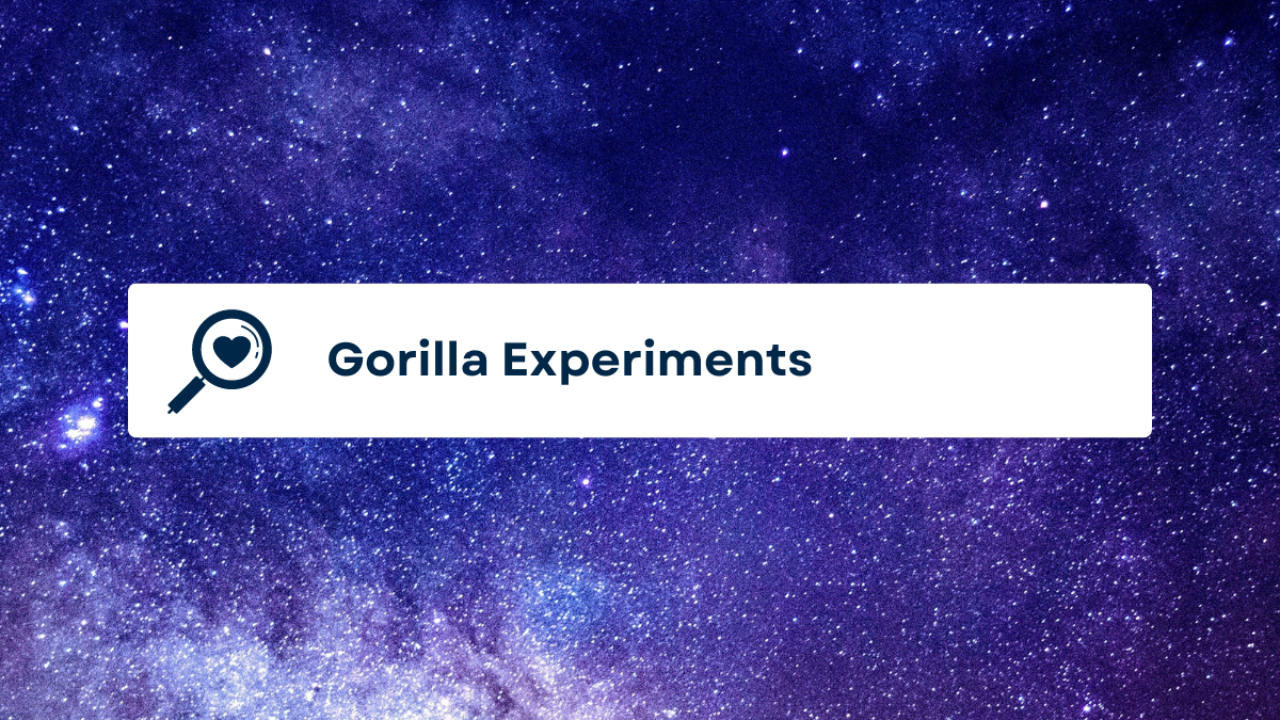 Gorilla Experimentsn